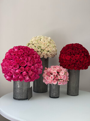 550 Premium Roses - Designer Vase Set