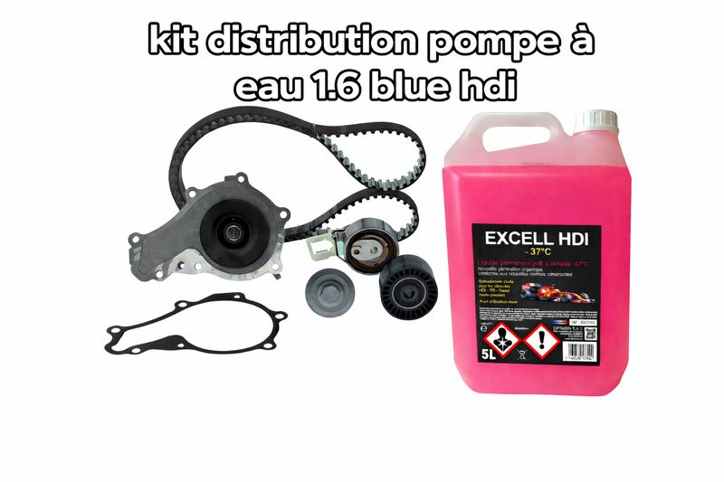 kit distribution pompe a eau plus refroidissement 1.6 blue hdi
