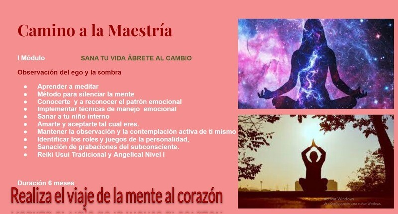 Enseñanza - Conectando con el Maestro Interno - I Módulo