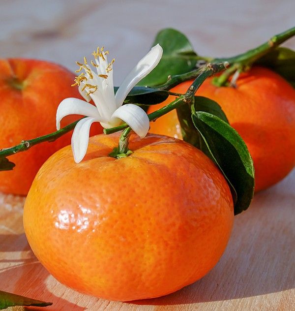 RAVIDA Olivenöl Mandarine, 250 ml, Italien