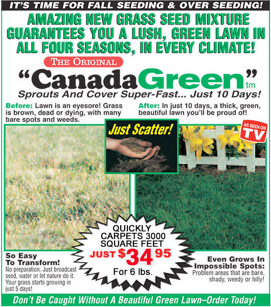 Canada Green Grass Seed (6 lbs.)
