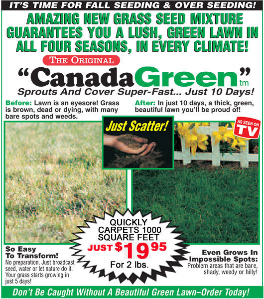 Canada green sale grass seed