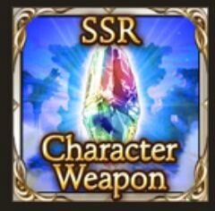 SSR Ticket