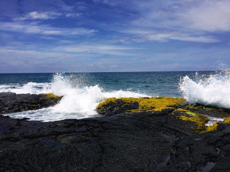 Ohana Sea Salt Seasonings