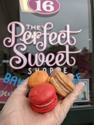 Thanksgiving Preorder 2025