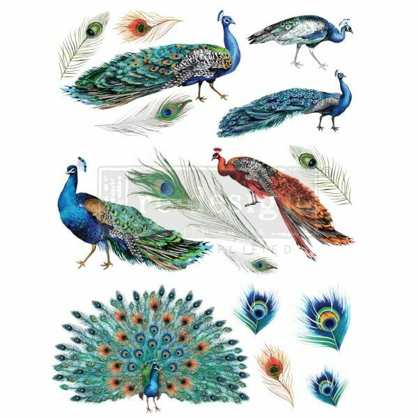 REDESIGN DECOR TRANSFERS® – PEACOCK DREAMS