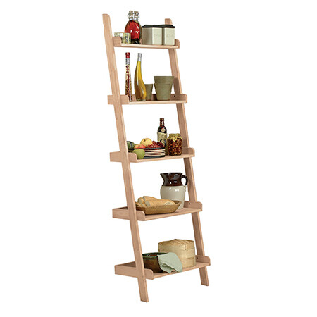 Accessory Ladder