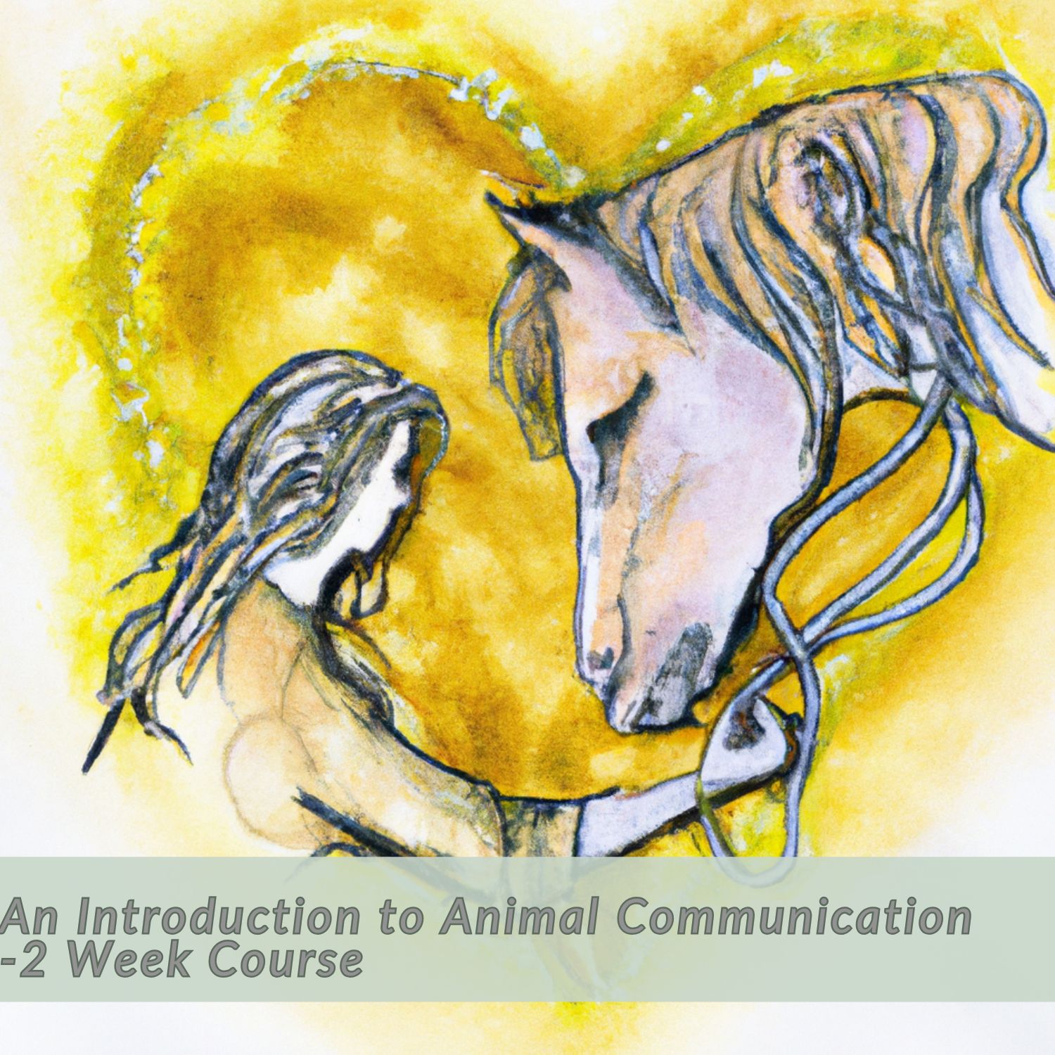 Introduction to Animal Communication- 2 Week Journey