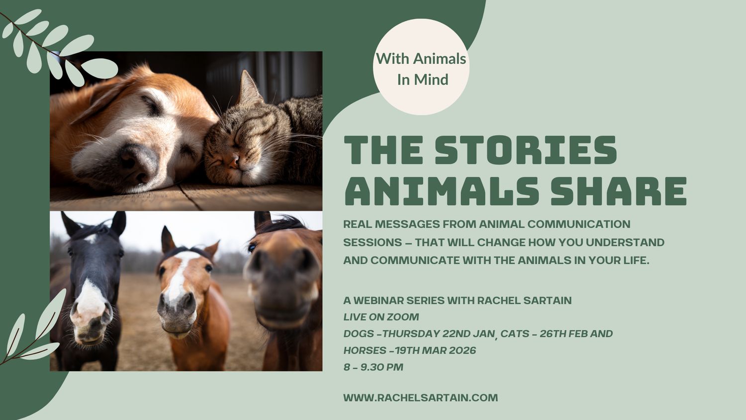 The Stories Animals Share The Stories Animals Share
