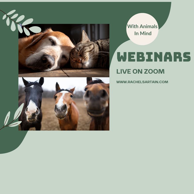 Webinars