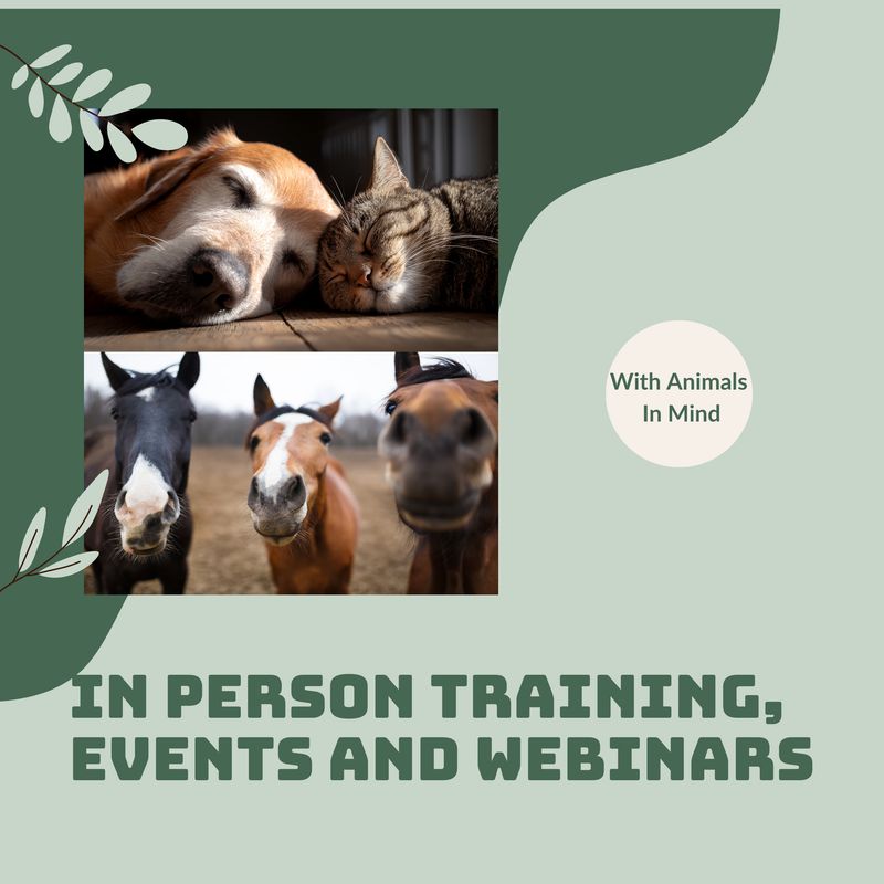 In Person Events and Webinars