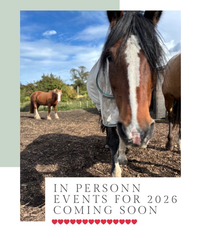 In Person Training and Events