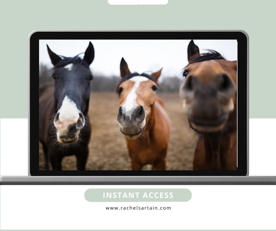 Introduction to Animal Communication- Learn Animal Communication in 2 Weeks — with guidance, practice, and a supportive community.