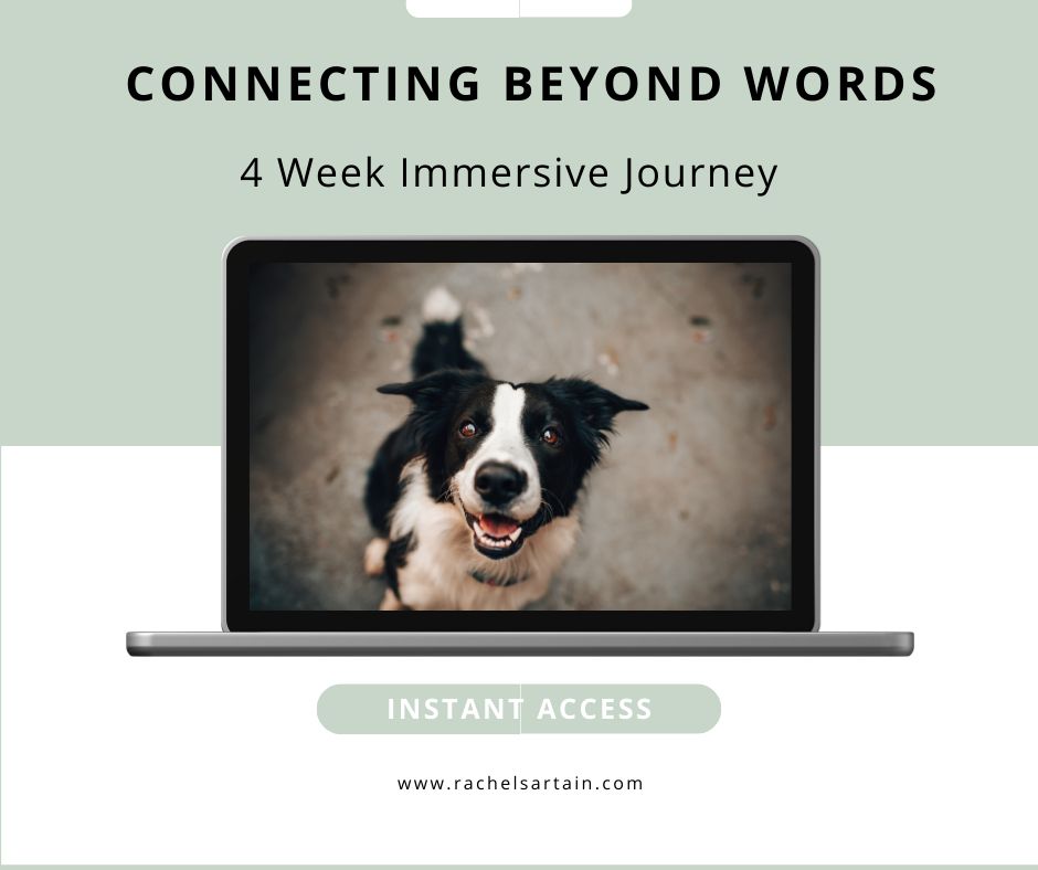 Connecting Beyond Words - A 4-Week Journey Into Deeper Spiritual Connection