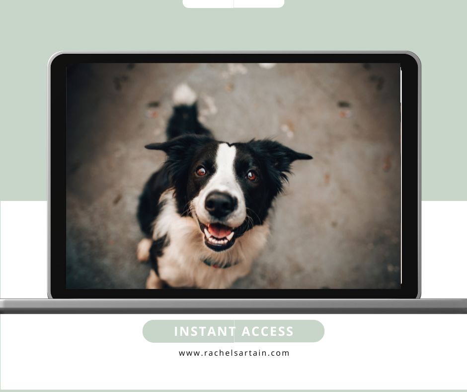 Connecting Beyond Words - A 4-Week Journey Into Deeper Spiritual Connection