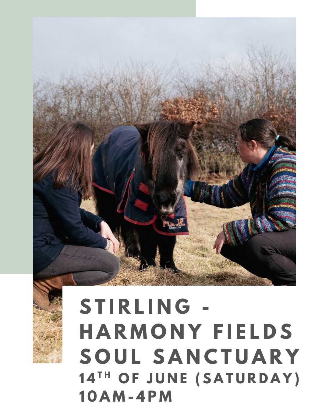 Harmony Fields- Stirling - Introduction to Animal Communication - June 14th