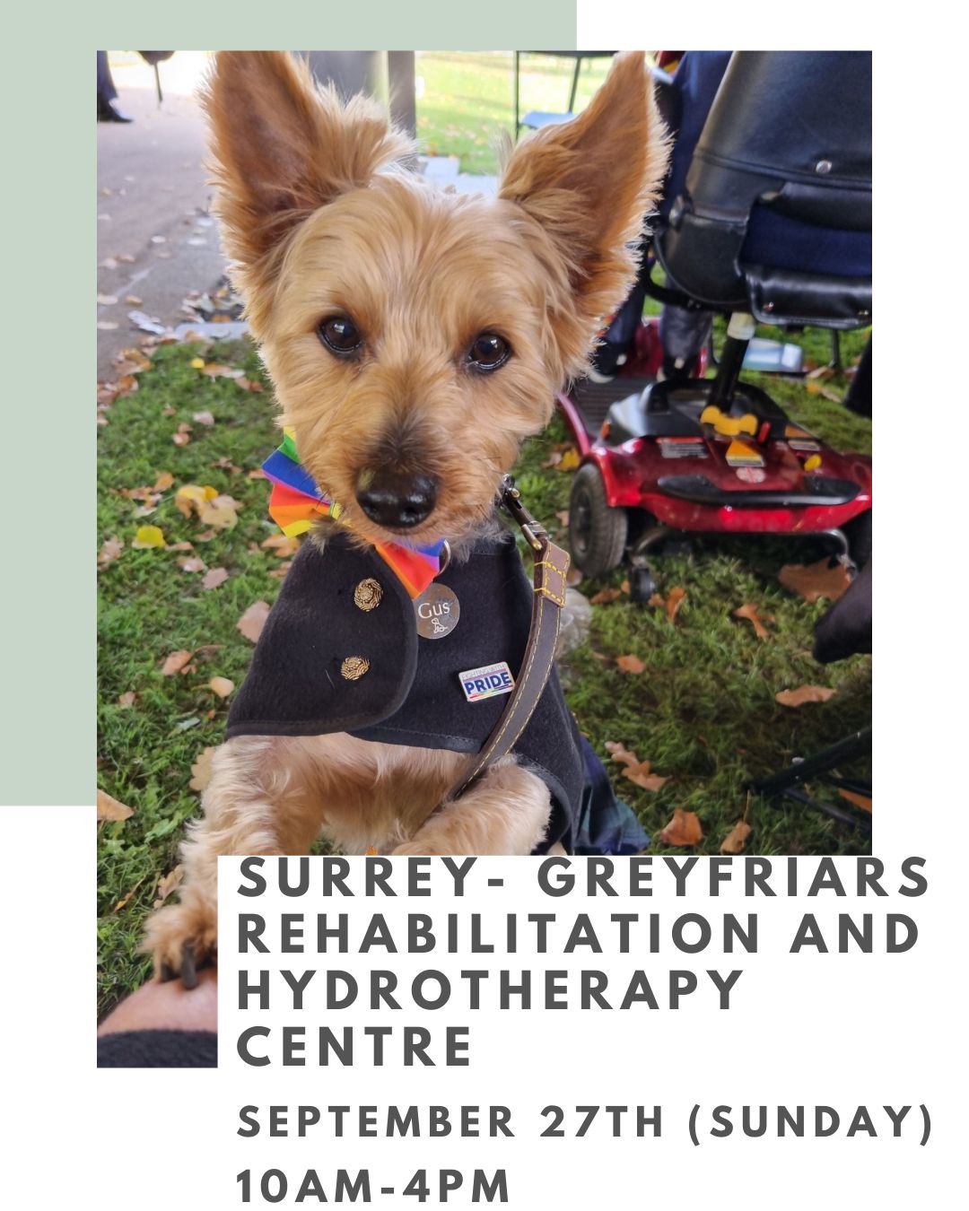 Greyfriars- Surrey - Introduction to Animal Communication - 27th Sep