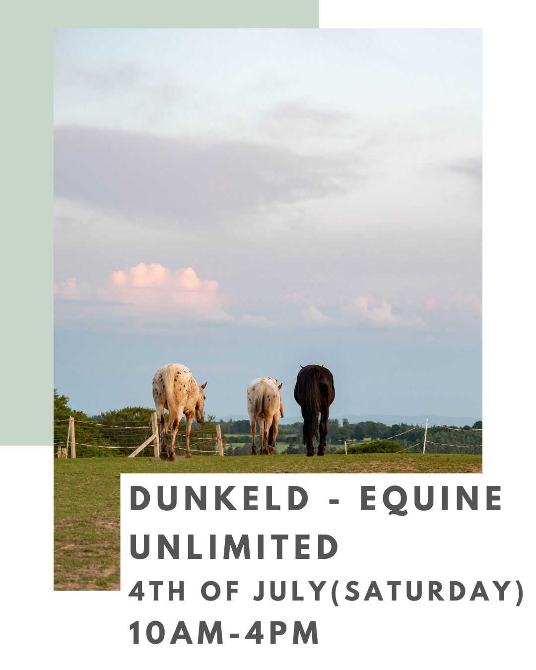 Dunkeld - Equine Unlimited - Introduction to Animal Communication- 4th July