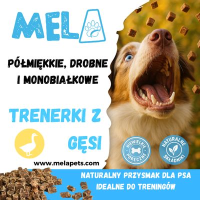 Trenerki z gęsi 100 g
