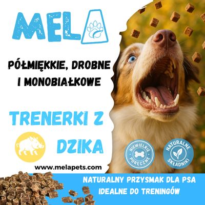 Trenerki z dzika 100 g