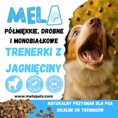 Trenerki z jagnięciny 100 g