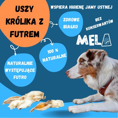 Uszy królika z futrem