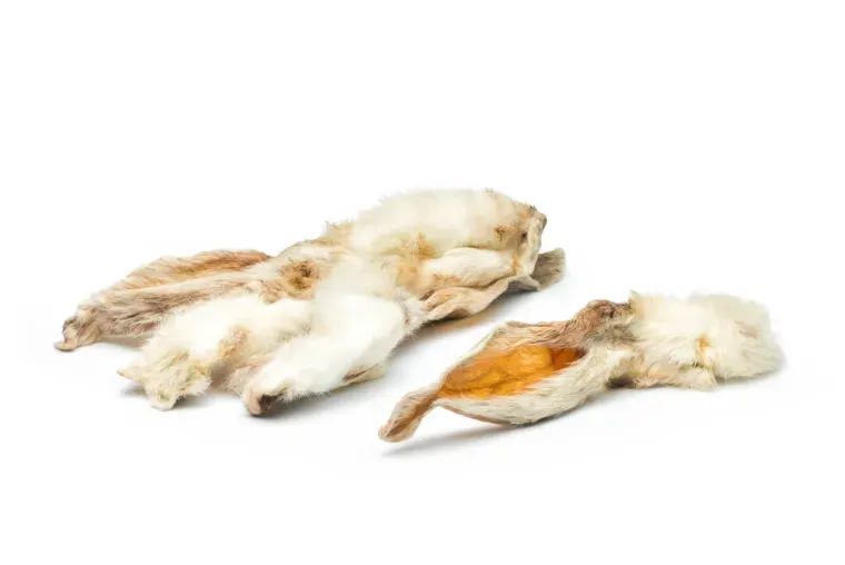 Uszy królika z futrem