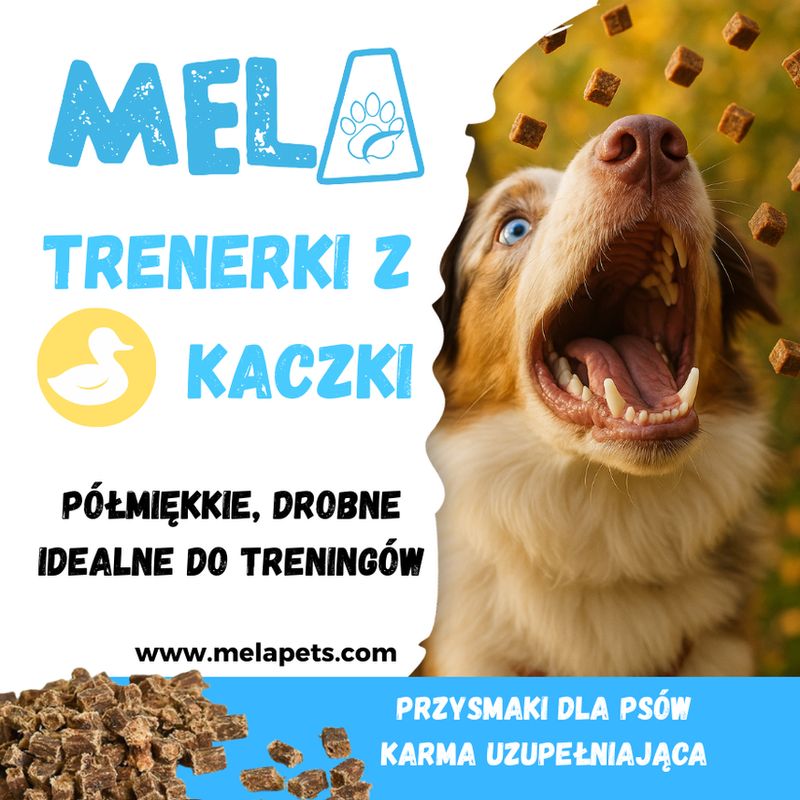 Trenerki z kaczki 100g
