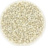 Miyuki Delica 11/0 - DB0035 - Galvanized Silver