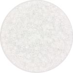 Miyuki Delica 11/0 - DB0231 - Crystal Ceylon