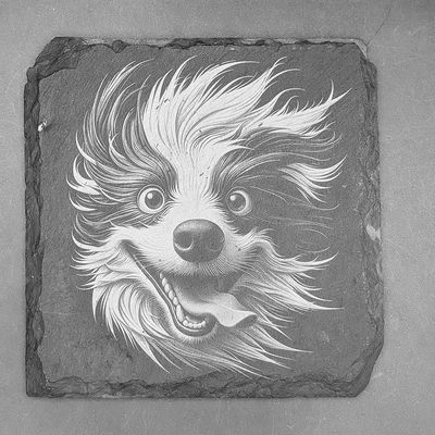 Leisteen onderlegger - Gravure Dieren in de wind