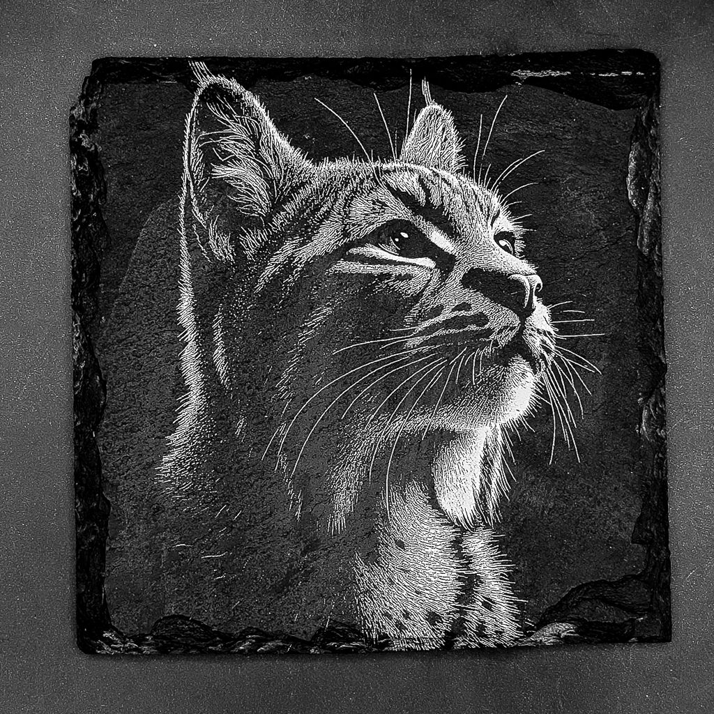 leistenen onderzetters - Gravure van een lynx