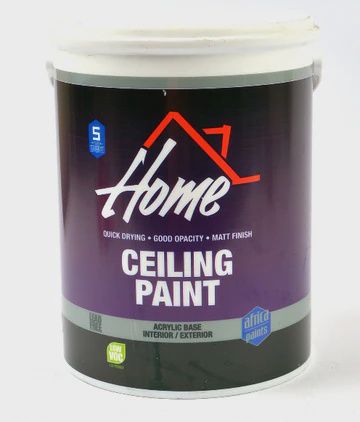 Paint Ceiling Home 20L