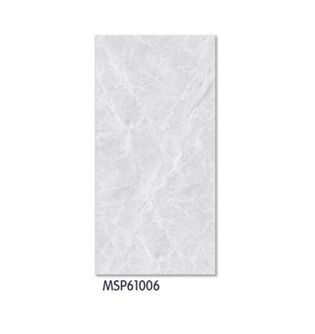 MSP61