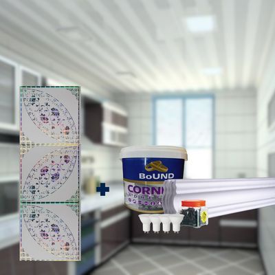 Ceiling &amp; Lighting Combos