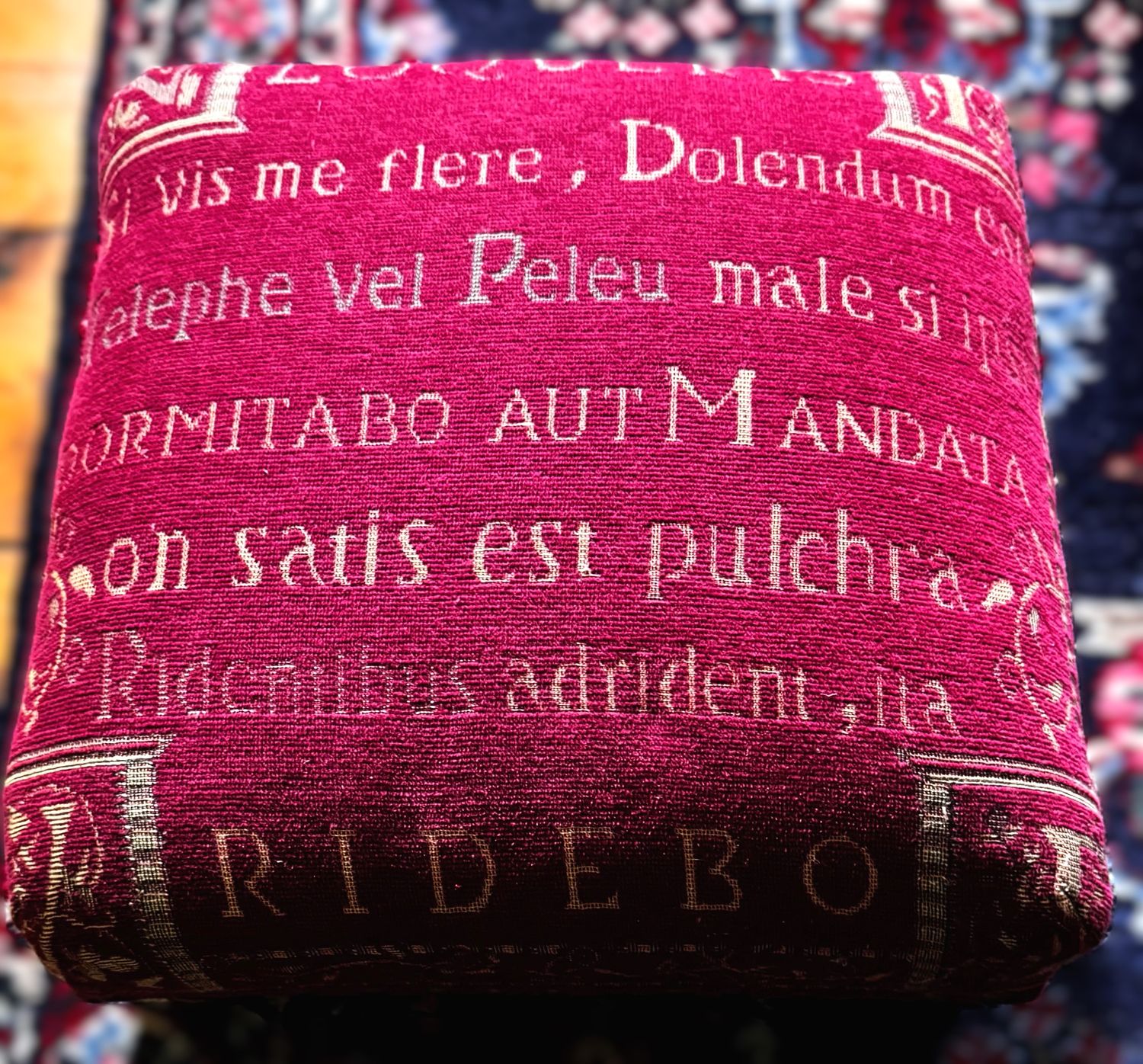 Exclusief Rood voetbankje met Latijnse Teksten voor Filosofisch genieten met stijl – ca. 20e eeuw