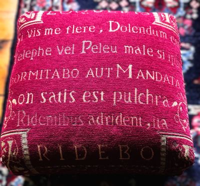 Exclusief Rood voetbankje met Latijnse Teksten voor Filosofisch genieten met stijl – ca. 20e eeuw Exclusief Rood voetbankje met Latijnse Teksten voor Filosofisch genieten met stijl – ca. 20e eeuw