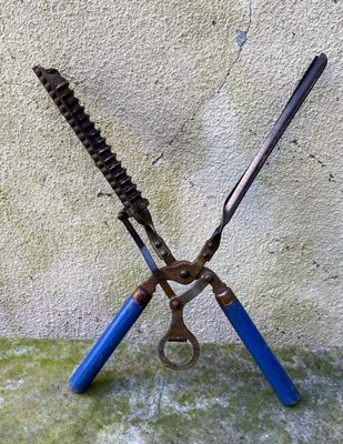 ​Antieke spiraalkrultang ca. 1900 – Saloninstrument met houten grepen