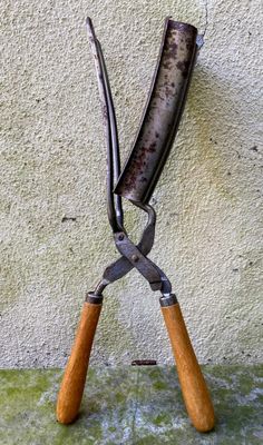 Antieke spiraalkrultang ca. 1900 – Saloninstrument met houten grepen