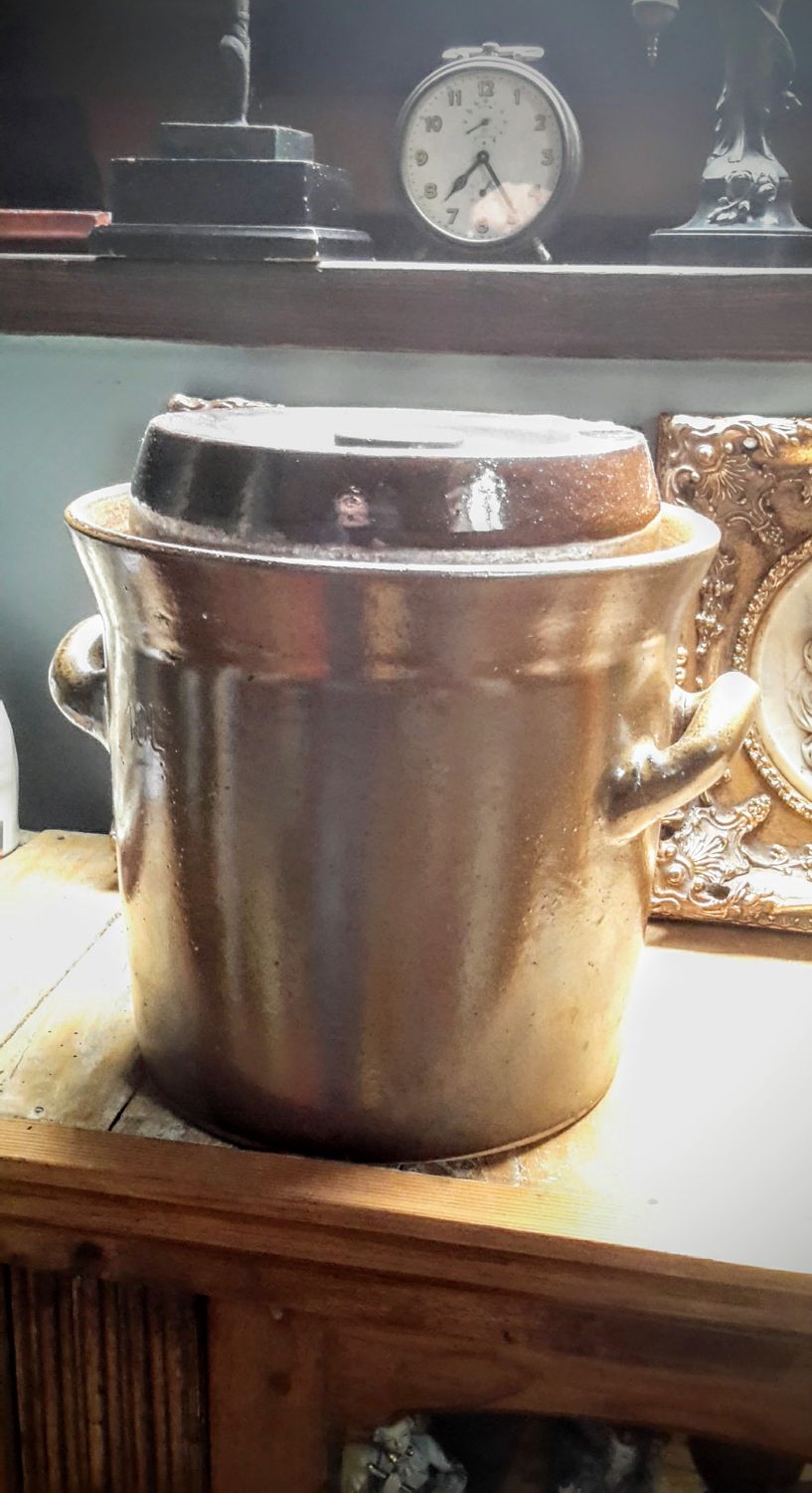 Bruin geëmailleerde zuurkoolpot