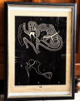 Anatomische schoolplaten – Uitgeverij Van In en Co, Lier – ca. 1940