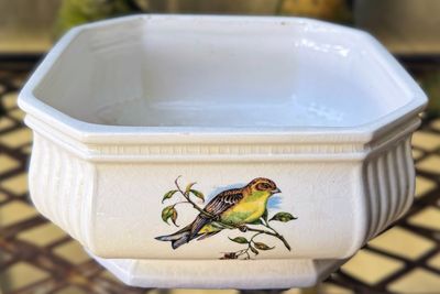 Vintage achthoekige Taunton Vale Staffordshire schaal – Exotische vogels, England  ca. jaren ’70