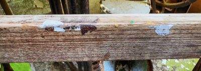 Vintage Houten Ladder – Midden 20ste Eeuw