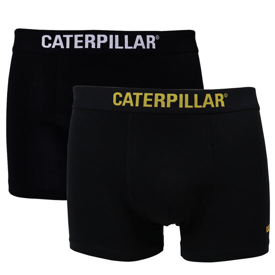 Caterpillar