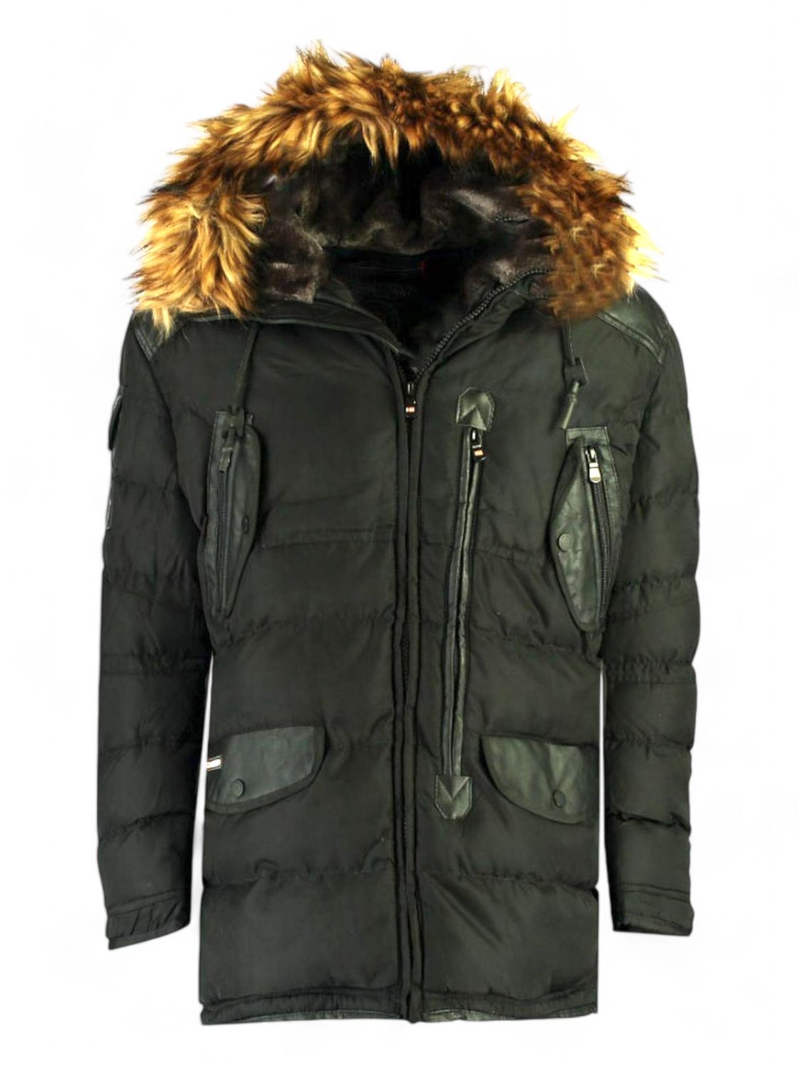 Geographical Norway