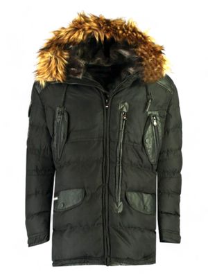 Geographical Norway