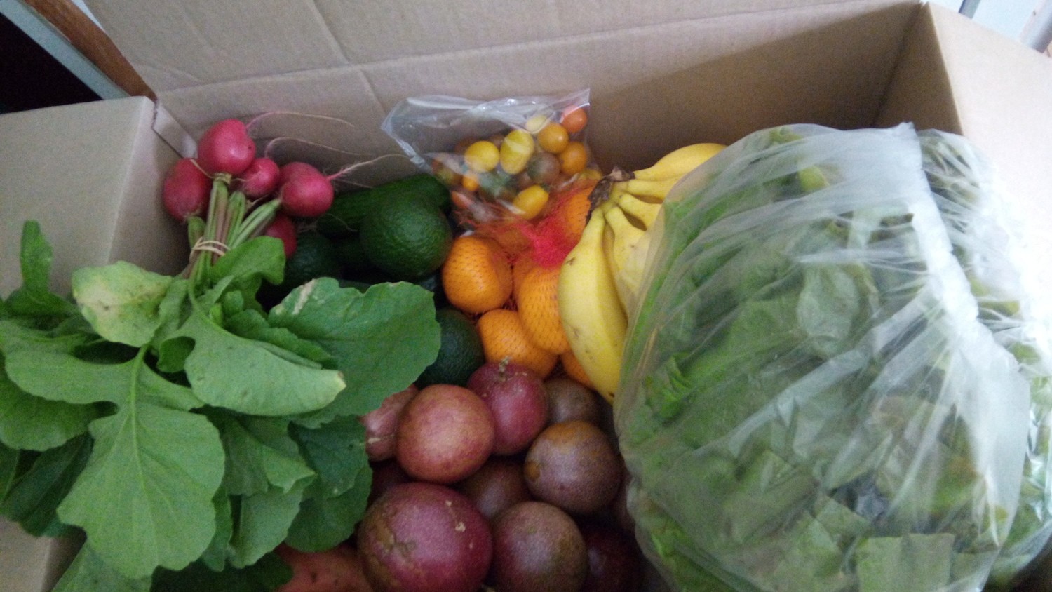 * family box F&amp;V inc. Delivery