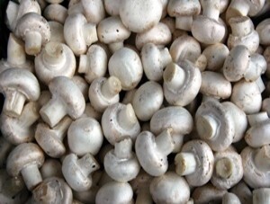 Mushrooms 500g 