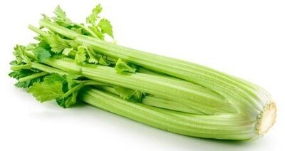 Celery bunch 