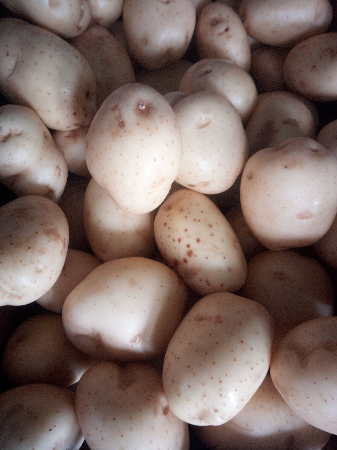 Potatoes washed kg 🥔